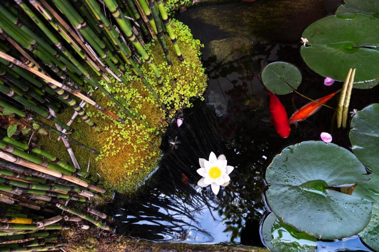 فندق La Martinoise Garden سان مارتن دو ر المظهر الخارجي الصورة