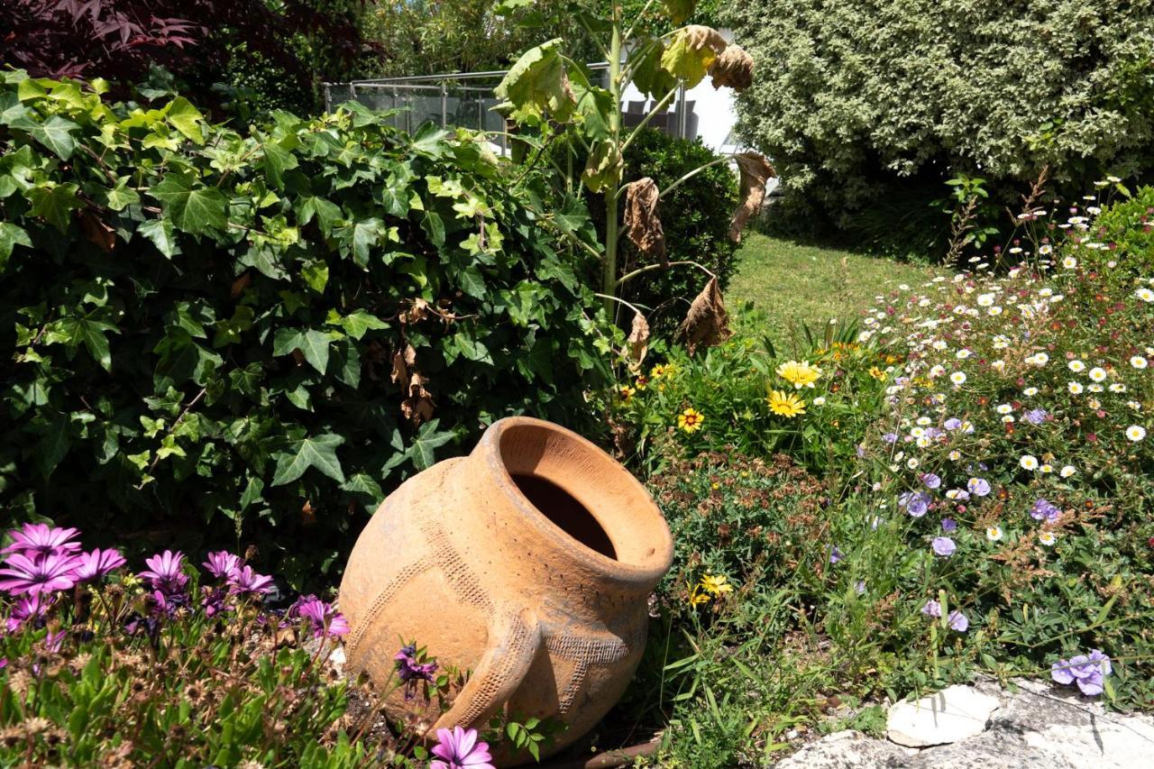 فندق La Martinoise Garden سان مارتن دو ر المظهر الخارجي الصورة